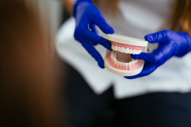 Reliable Concordia, NJ  Holistic Dental Services Solutions